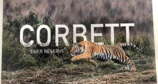 Corbett Tiger Reserve: पाखरो रेंज घोटाला..।सीबीआई ने मुकदमा दर्ज किया, पूर्व डीएफओ और रेंजर के घर पर छापे